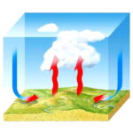 Які існують види конвекції