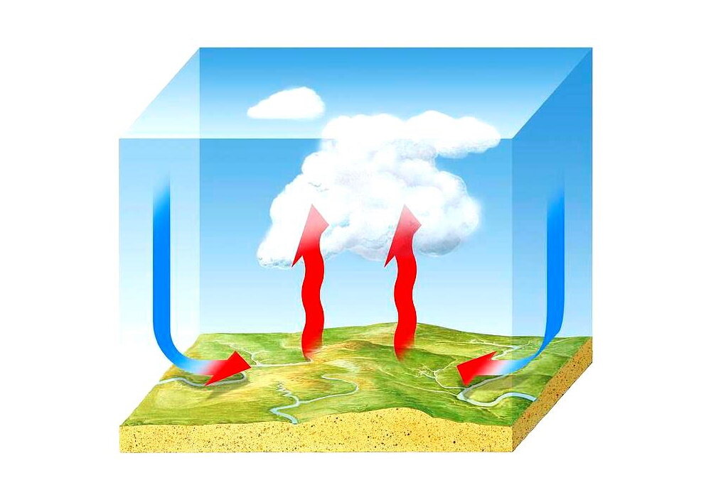 Які існують види конвекції