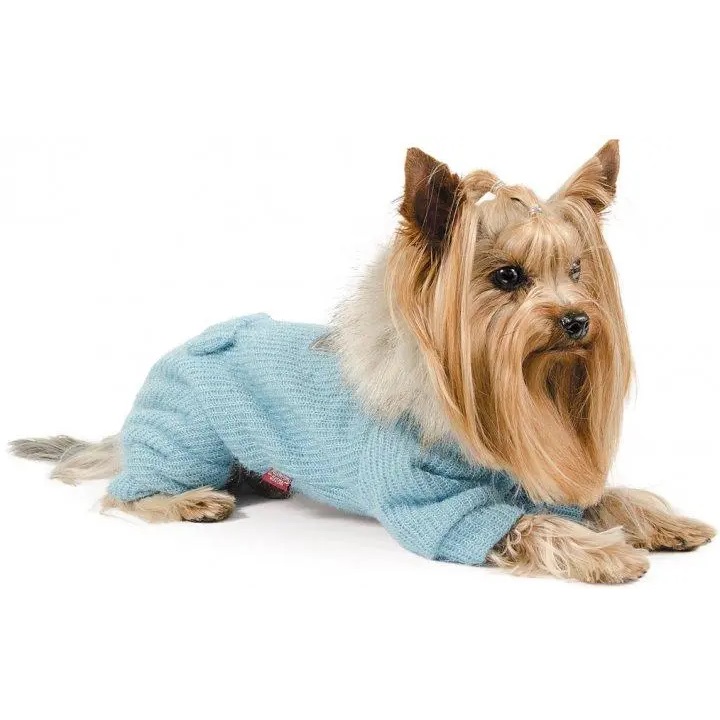 Одяг для тварин – забаганка чи турбота?