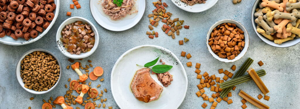 Как выбрать корм для своего питомца?