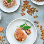 Как выбрать корм для своего питомца?