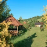 Team building у Карпатах: як провести незабутній корпоратив?