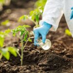 Эффективные средства защиты растений для сада и огорода