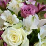 Какие цветы лучше всего дарить на 8 марта