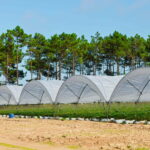 Как выбрать теплицу под пленку: ключевые аспекты