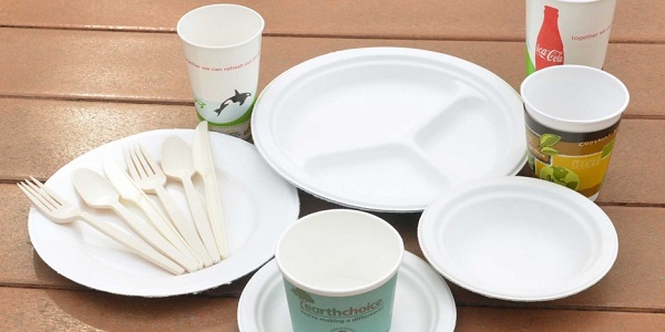 Преимущества одноразовых пластиковых тарелок