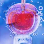 Что такое донорство яйцеклеток: процесс и этапы процедуры