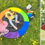 Круглые качели: новое слово в детском игровом оборудовании