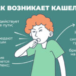 Что такое кашель — определение, суть, виды, причины, профилактика