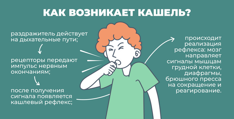 Что такое кашель — определение, суть, виды, причины, профилактика