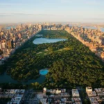 Обзор лучших районов Нью-Йорка для аренды жилья